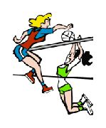 Volleyball Damen: Sande 3 oder die Spielgemeinschaft Sande / Schloß Neuhaus Volleyball