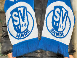 Fanschal Fanschal