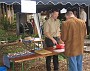IMG_2162