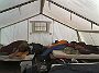02-08-06_0734